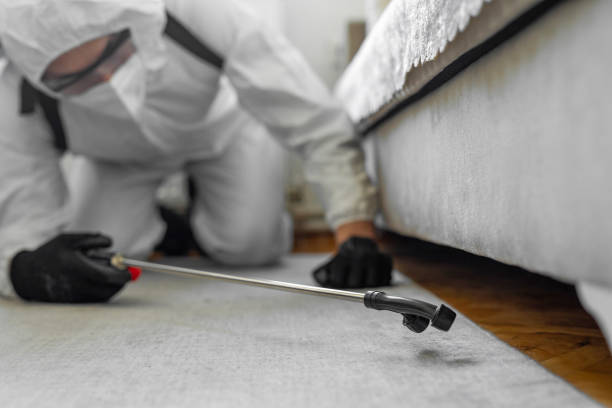 Professional Bed Bug Control technician working in Meadow Lake, NM