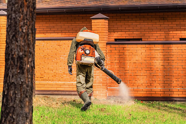 Trusted Bed Bug Control service in Meadow Lake, NM - Nex Pest Control